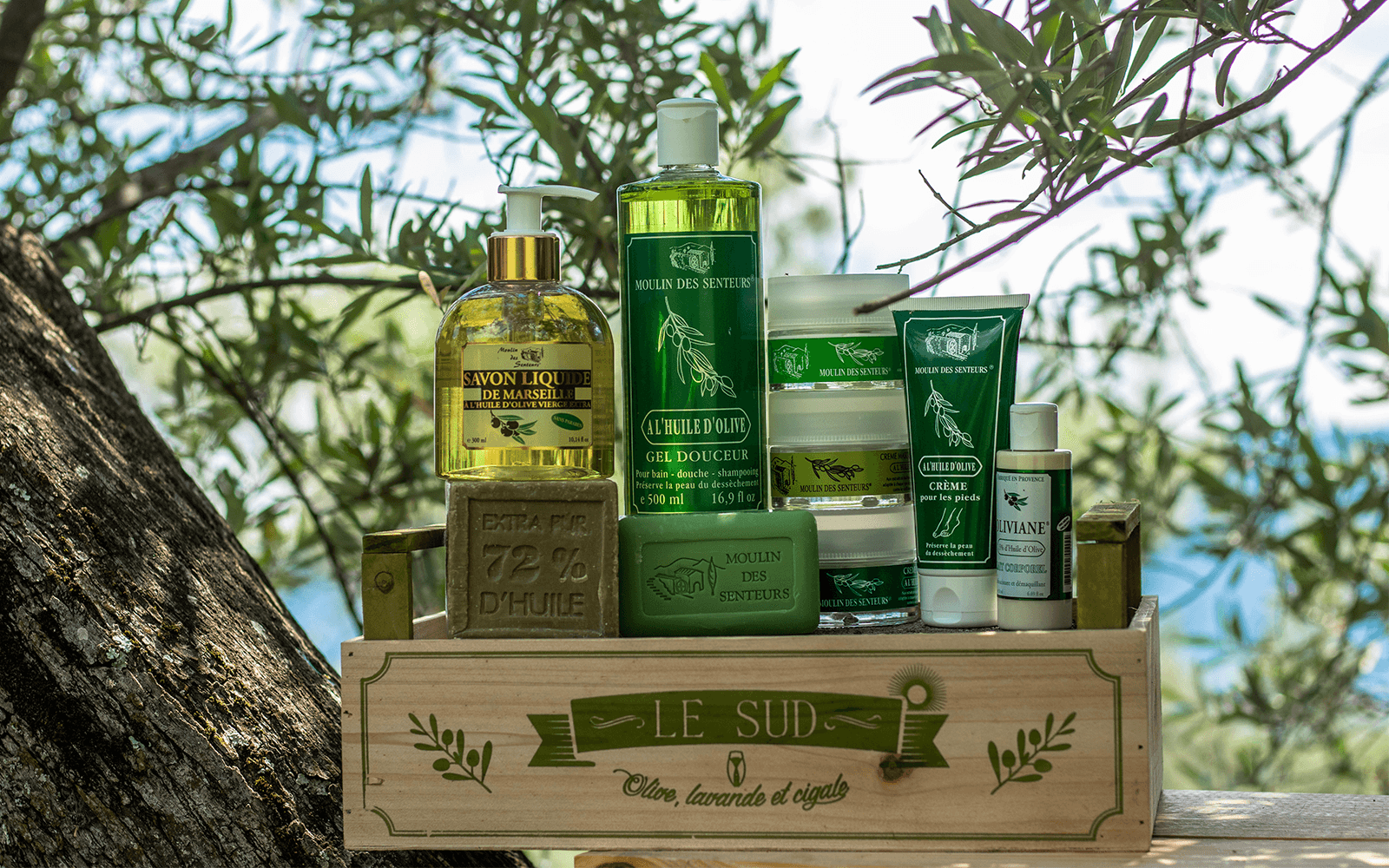 Moulin Des Senteurs Cosm tique Naturelle L huile D olive Moulin moulin-des-senteurs-cosm-tique-naturelle-l-huile-d-olive-moulin