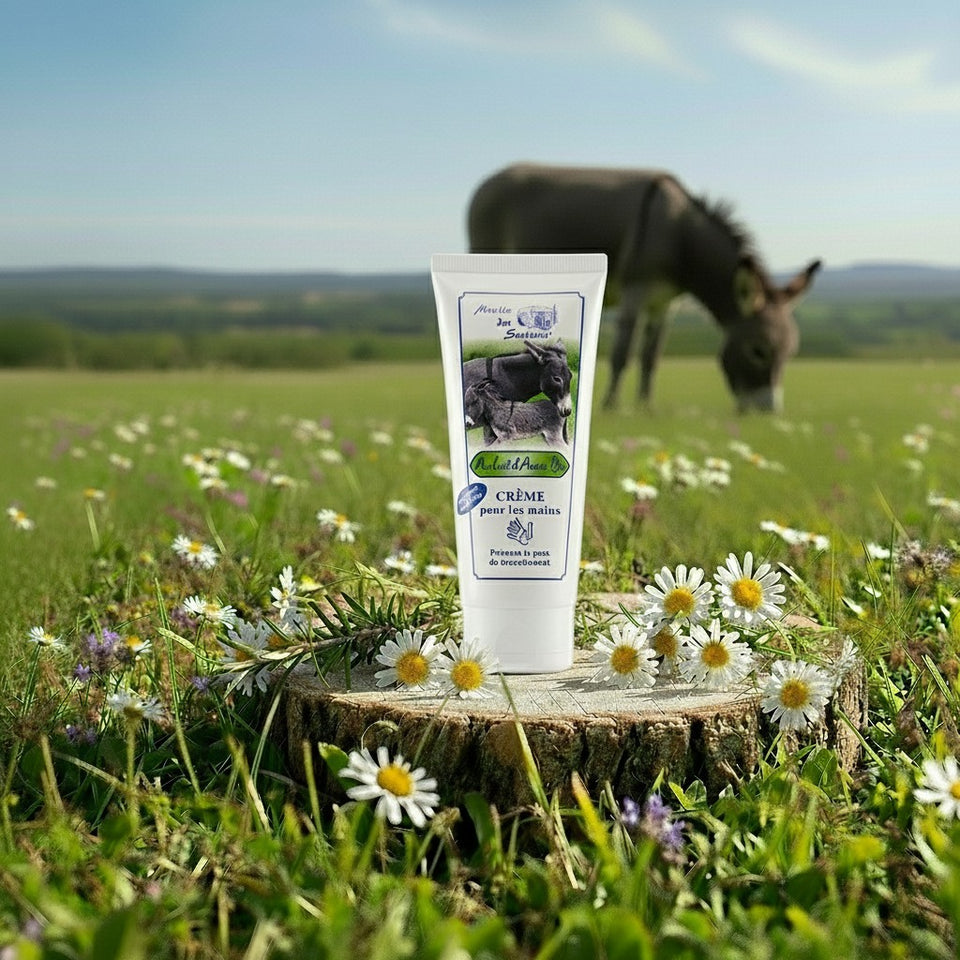 Crème Mains au Lait d'Anesse BIO 100ml