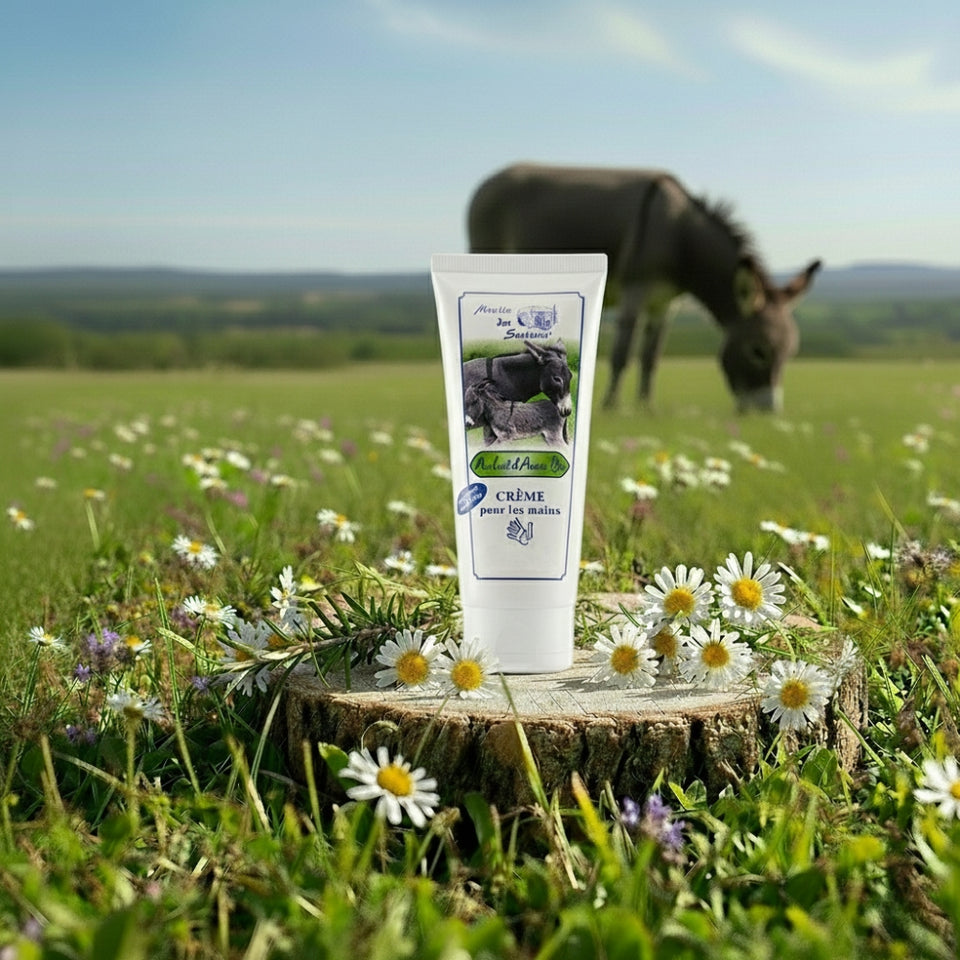 Crème Mains au Lait d'Anesse BIO 100ml