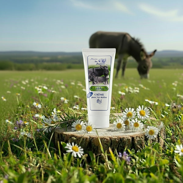 Crème Mains au Lait d'Anesse BIO 100ml