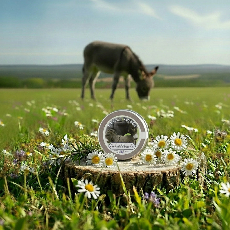 Crème Visage au Lait d'Anesse Bio 50ml