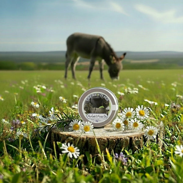 Crème Visage au Lait d'Anesse Bio 50ml